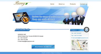 网页与网站设计 企业形象的数字化窗口